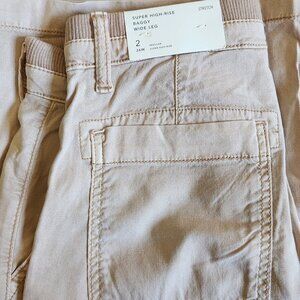 American Eagle High Rise Baggy Wide Leg Pants